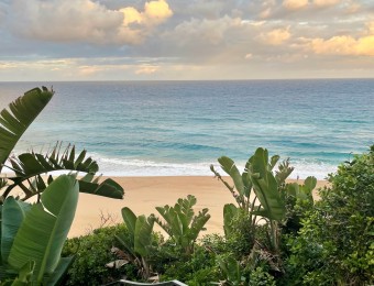 Mseni-Beach-Lodge-beach