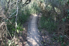 Beach pathway