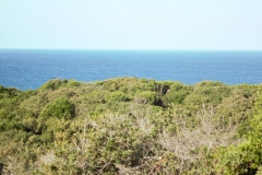Seaview while you eat